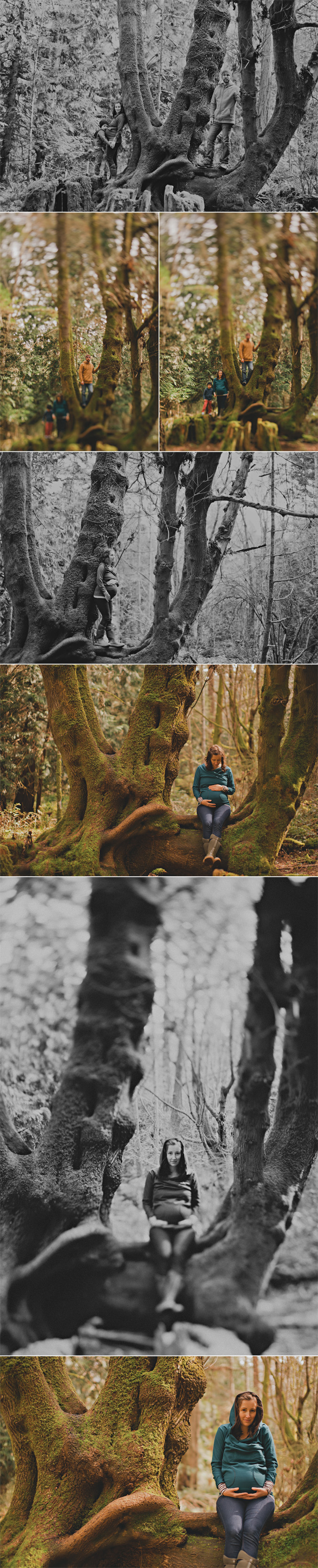 lifestyle family & maternity photographs on beautiful hornby island, the gulf islands, vancouver island, bc (3)