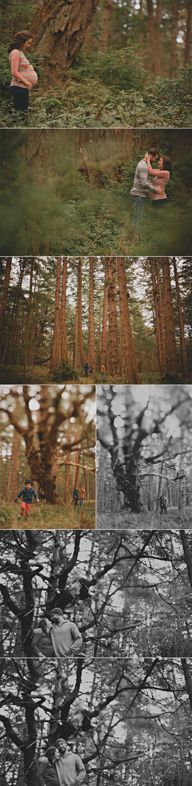lifestyle family & maternity photographs on beautiful hornby island, the gulf islands, vancouver island, bc (9)