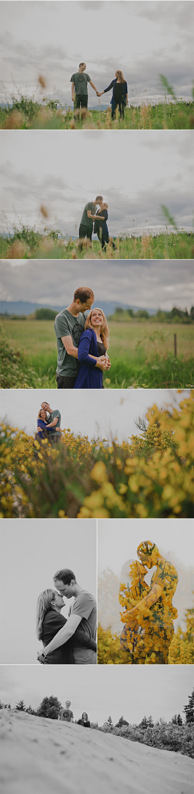 young couple backlit by the sun & in the blooming broom, comox, bc