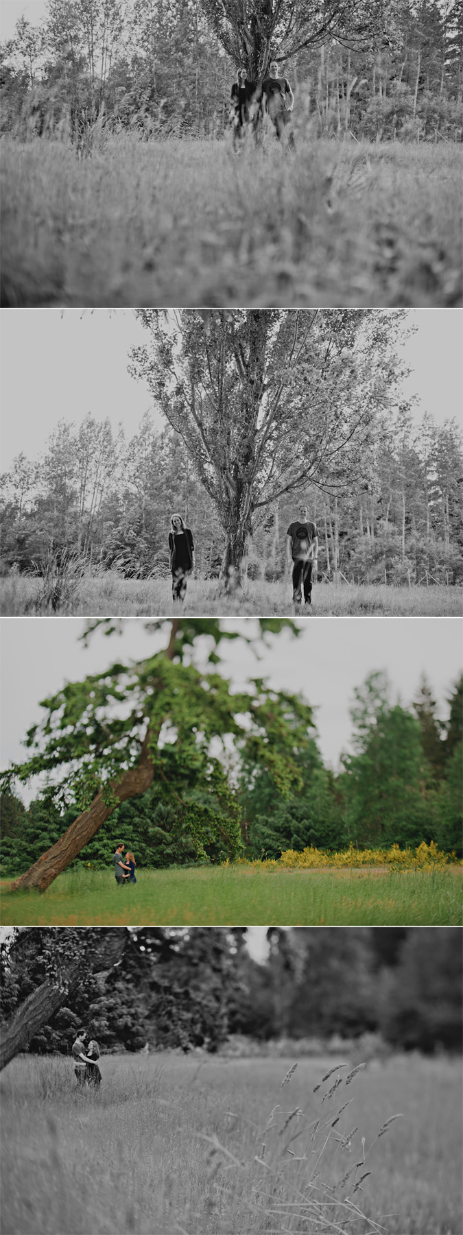 creative engagement photos of a couple in an open field in comox, bc
