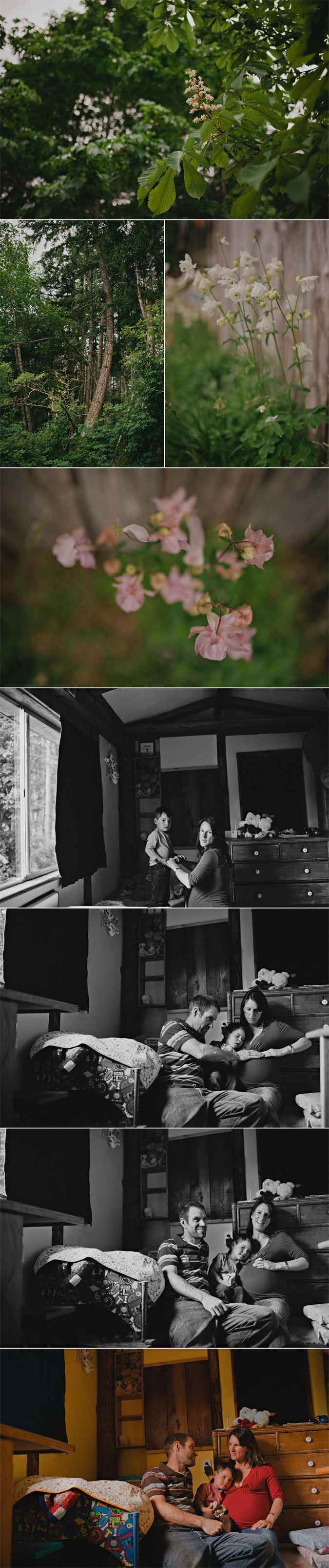 vancouver island family photographer