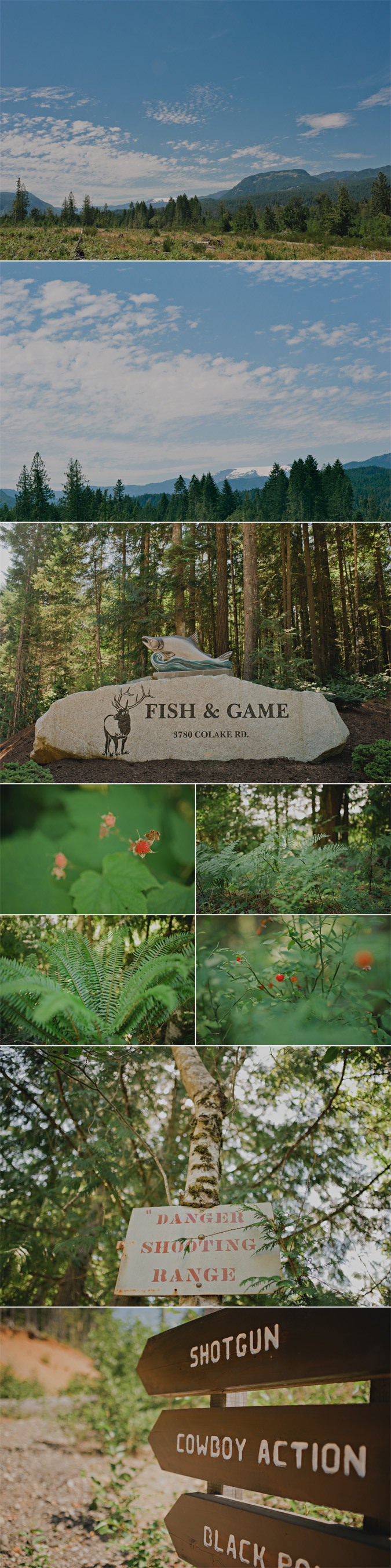 comox valley wedding photographer