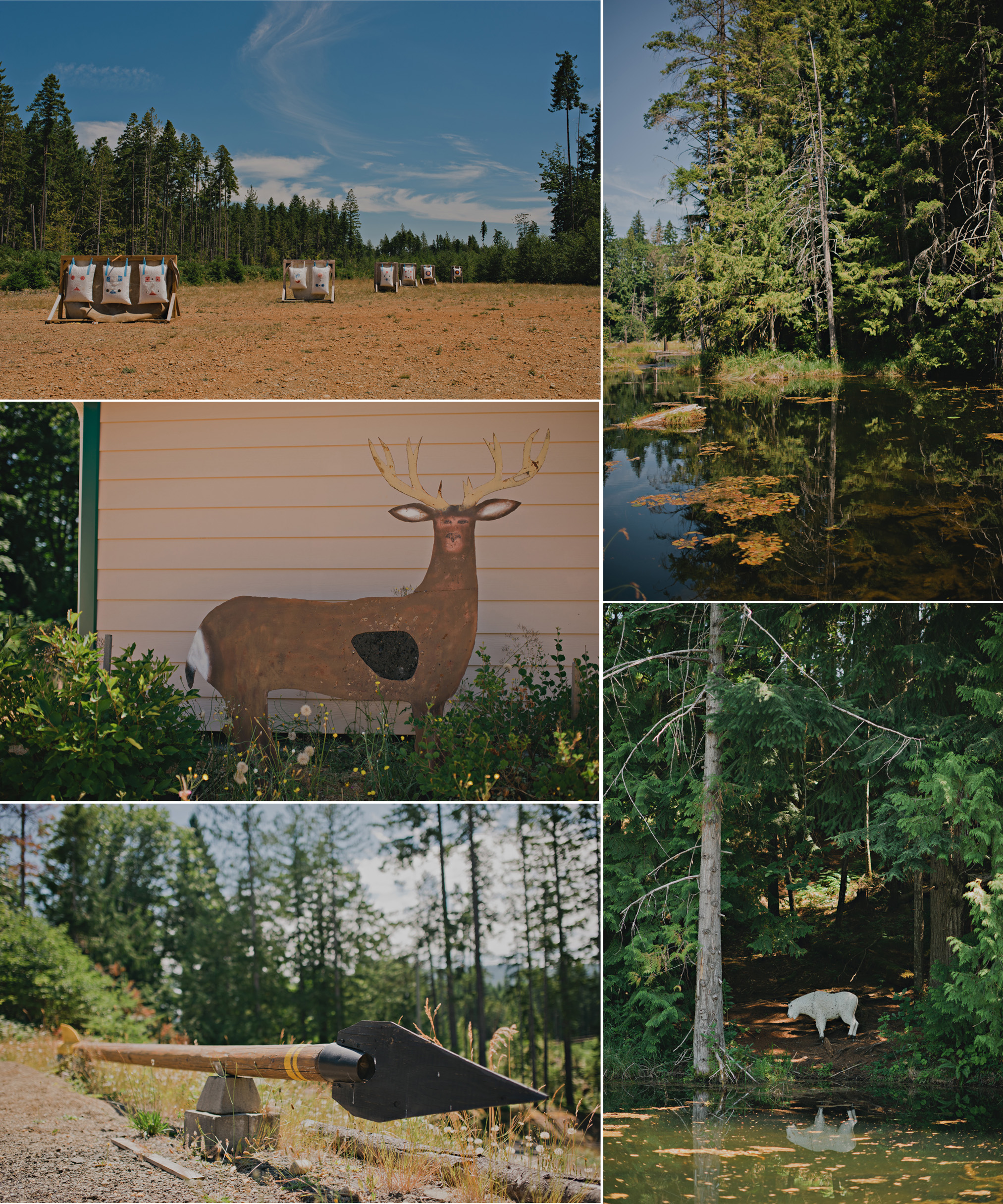 vancouver island photographer