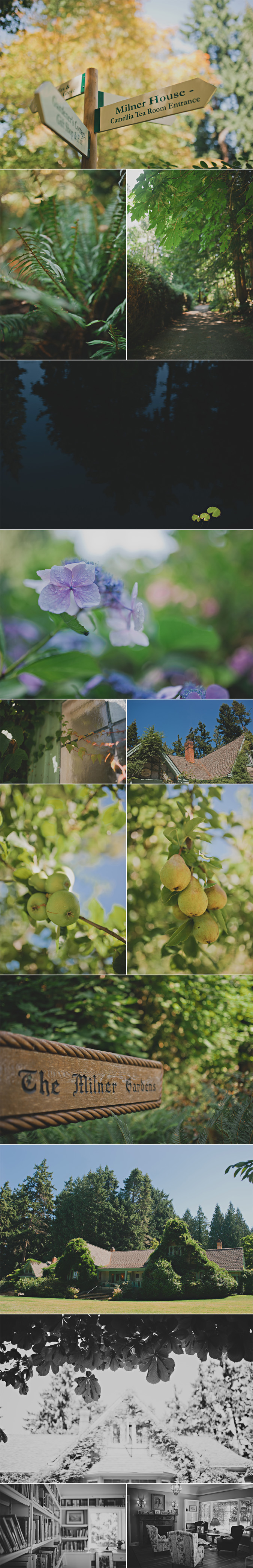 milner gardens qualicum beach bc wedding