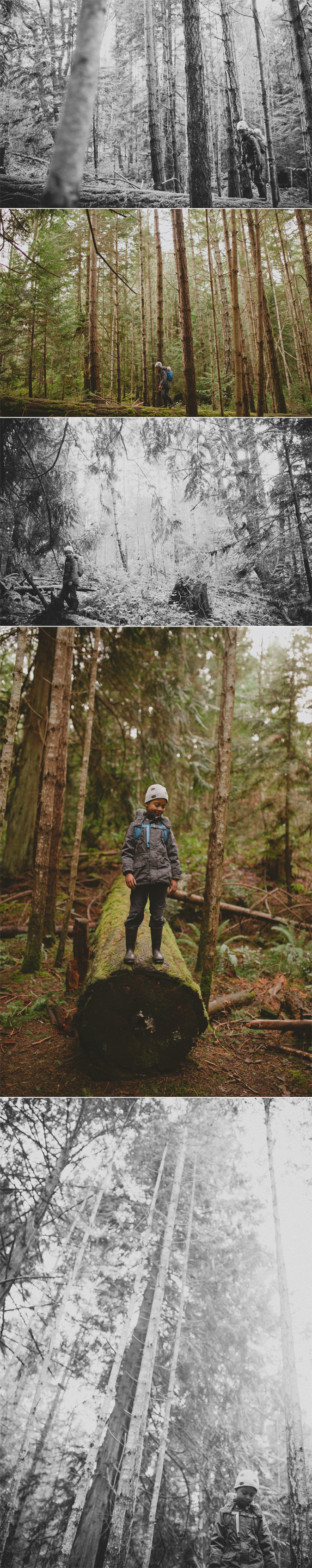 hornby island family photographer