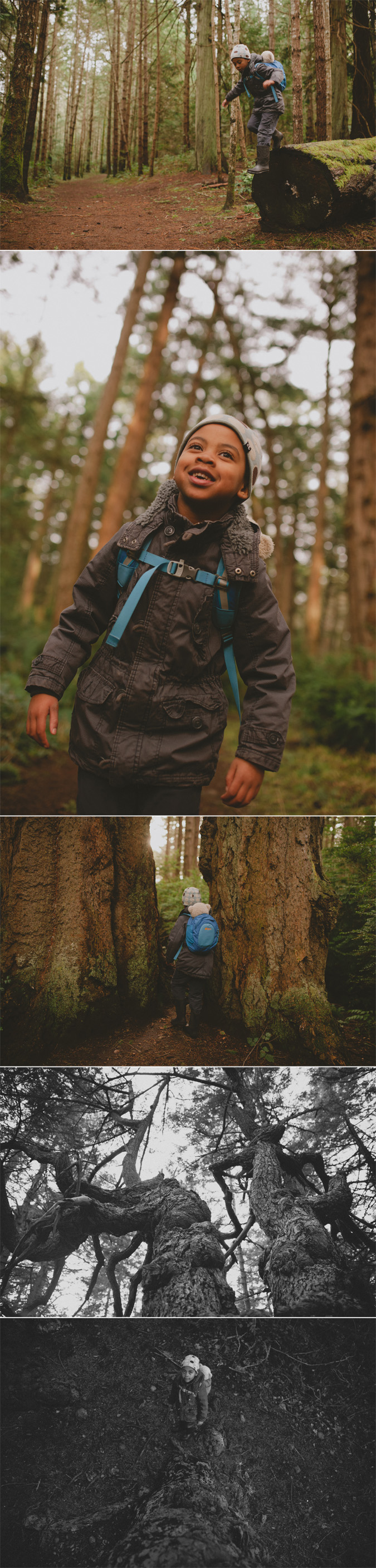 hornby island family photographer