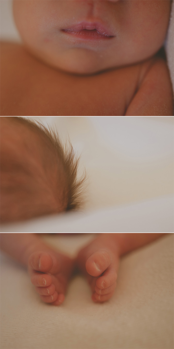 victoria newborn photographer