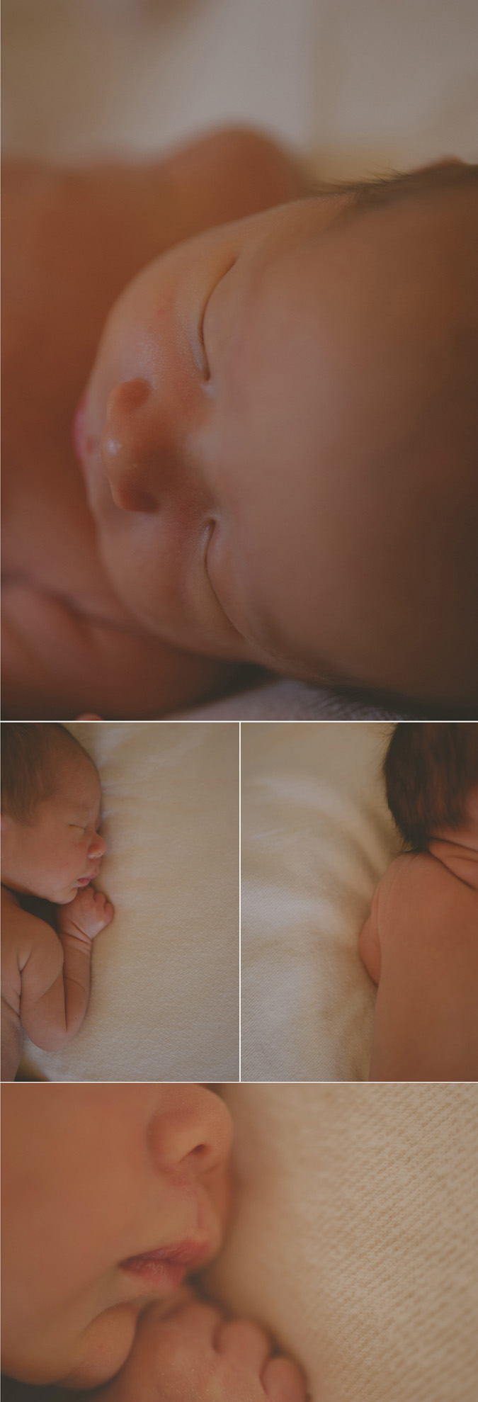 victoria newborn photographer