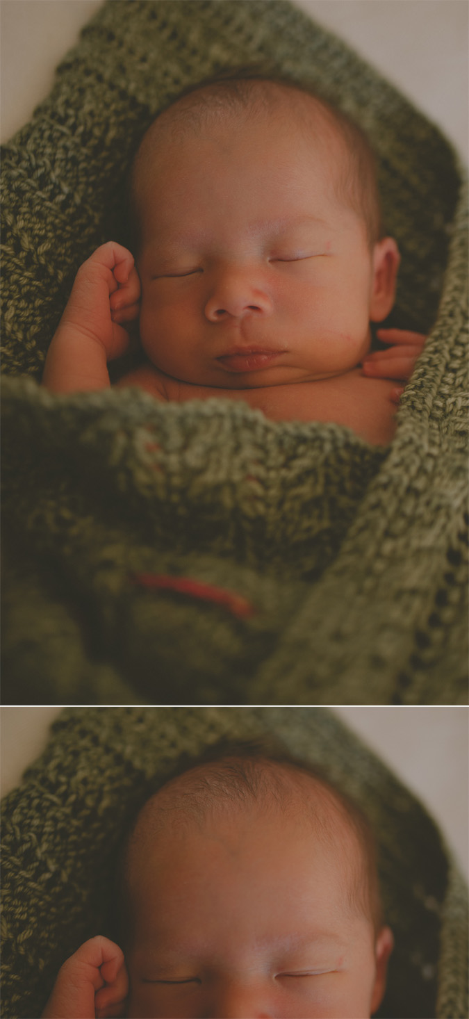 victoria newborn photographer