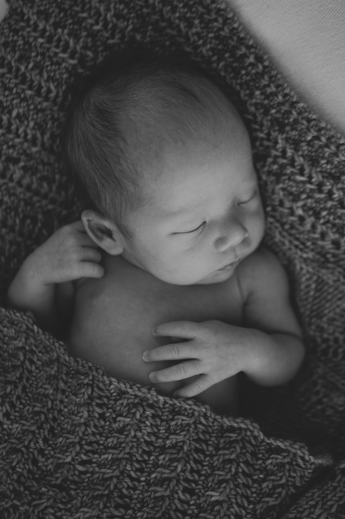 victoria newborn photographer
